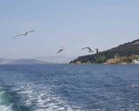 Full Day Princess Island Tour (SIC)
